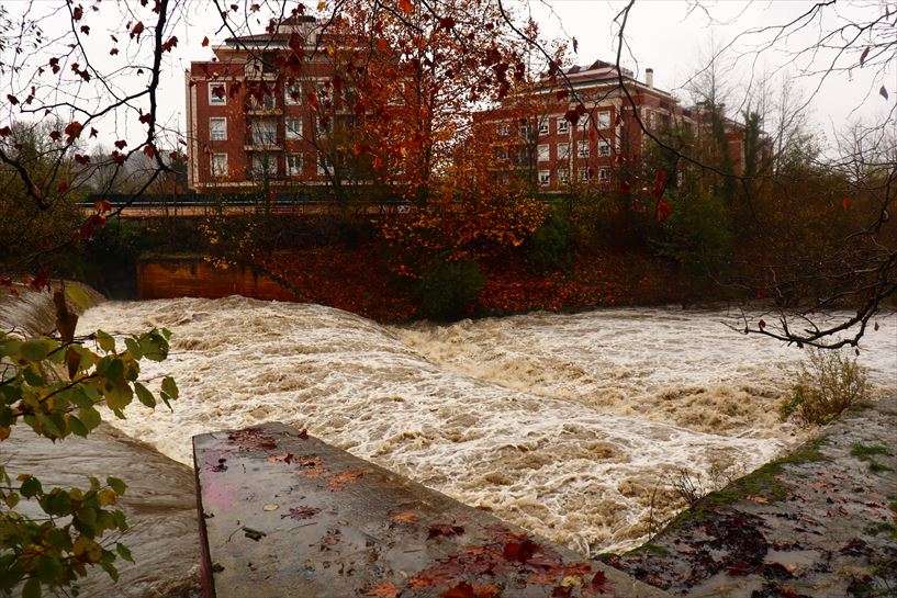 Ibaizabal. Argazkia: Txaro Ortiz de Zarate