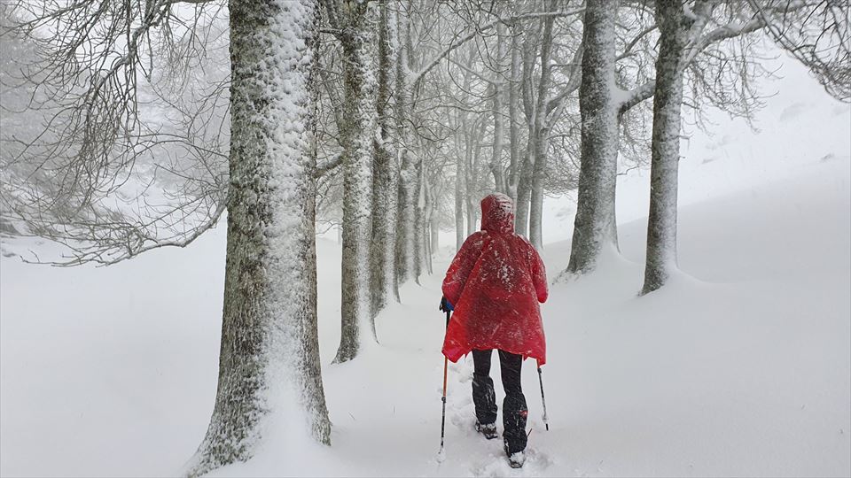 Urbia. Iñaki Zenitagoia
