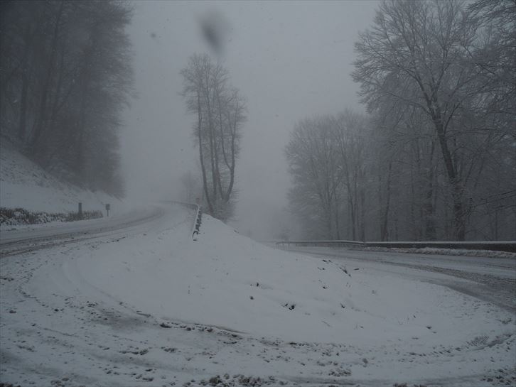 Lizarraga. Jose Luis Imaz