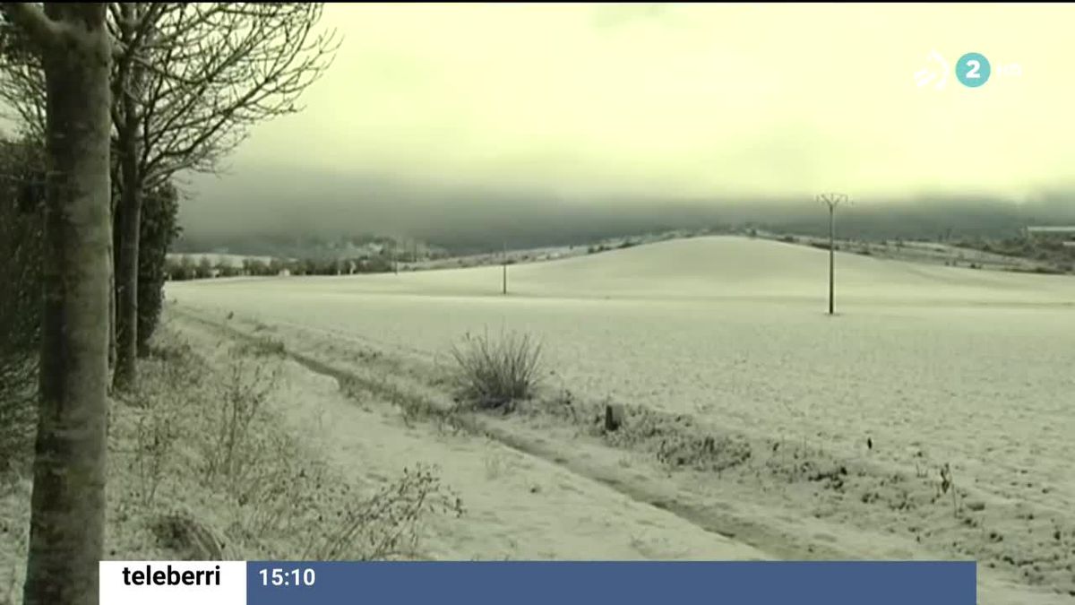 Nieve en Auritz (Navarra). Foto: Unai Irigarai Oses