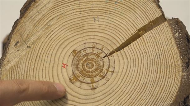 La madera, calendario de la historia