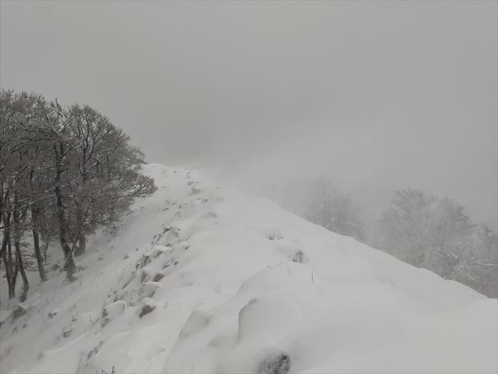 Aralar. Josu Unzurrunzaga