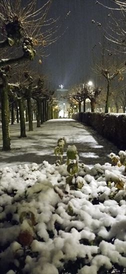 Aoitz. Mamen Miranda Rodriguez