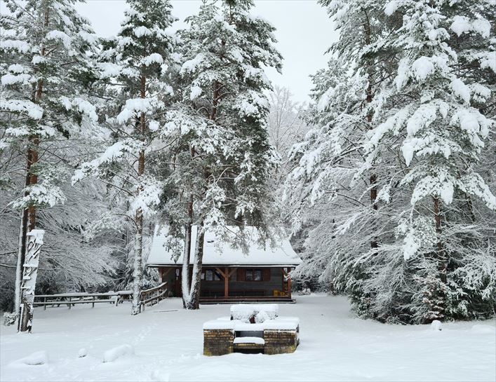 Belagua. Alfonso Alastuey