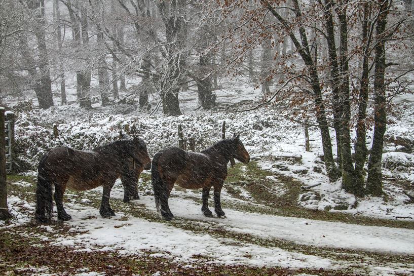 Baztan. Juan Lameirinhas