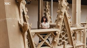 Nafarroaren Eguneko programazio berezia, gaur, ETB2n