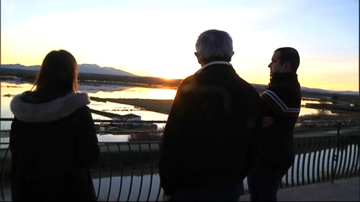 El río Ebro ha cubierto los campos de la Ribera navarra. Imagen obtenida de un vídeo de EITB Media.