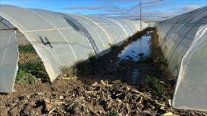 Arga ibaiaren uholdeek eragindako kalteak 8 milioitik gorakoak izango dira