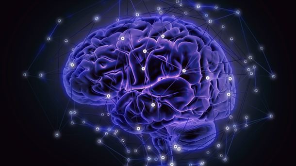 Un 20% de la energía que consumimos la utiliza el cerebro para establecer y mantener las conexiones