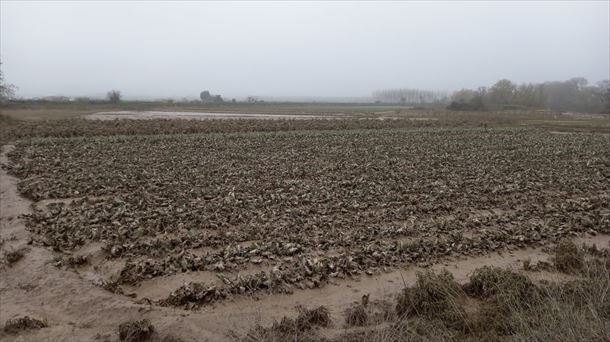 Los agricultores afectados por las inundaciones de diciembre de 2021 cobrarán en febrero.