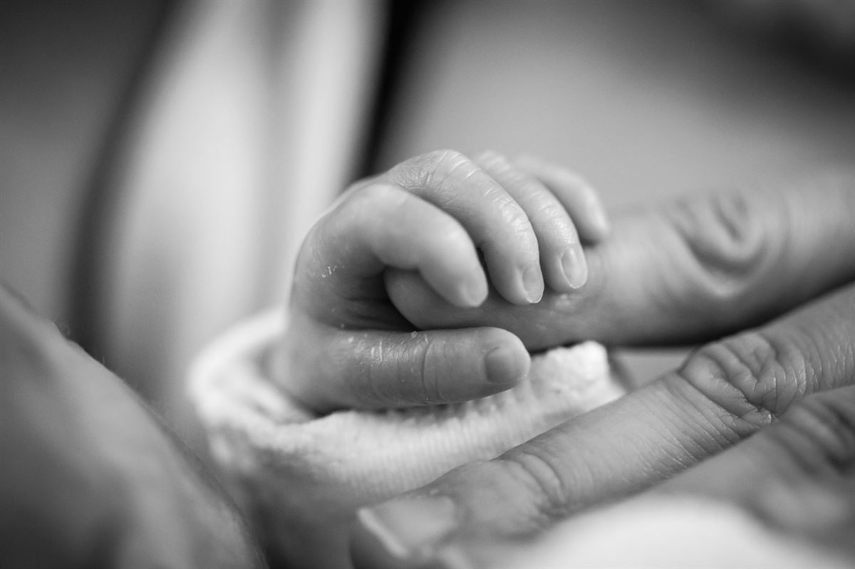 La mano de un bebe recién nacido