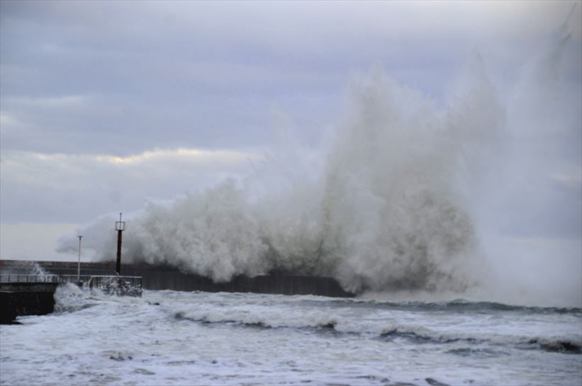 Plentzia. Iñaki Arteta