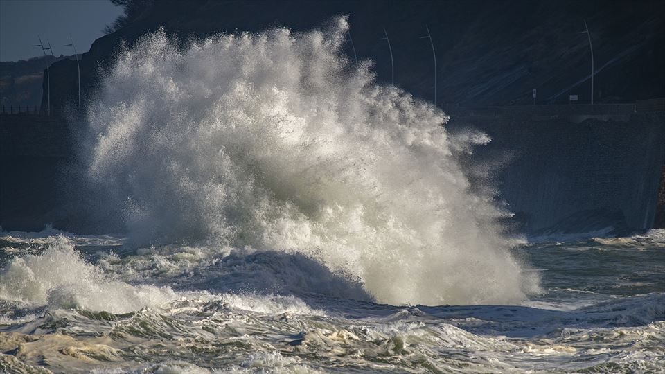 Donostia. Juan Antonio Garaikoetxea