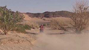 Sainz y Benavides ganan la etapa 11 del Dakar