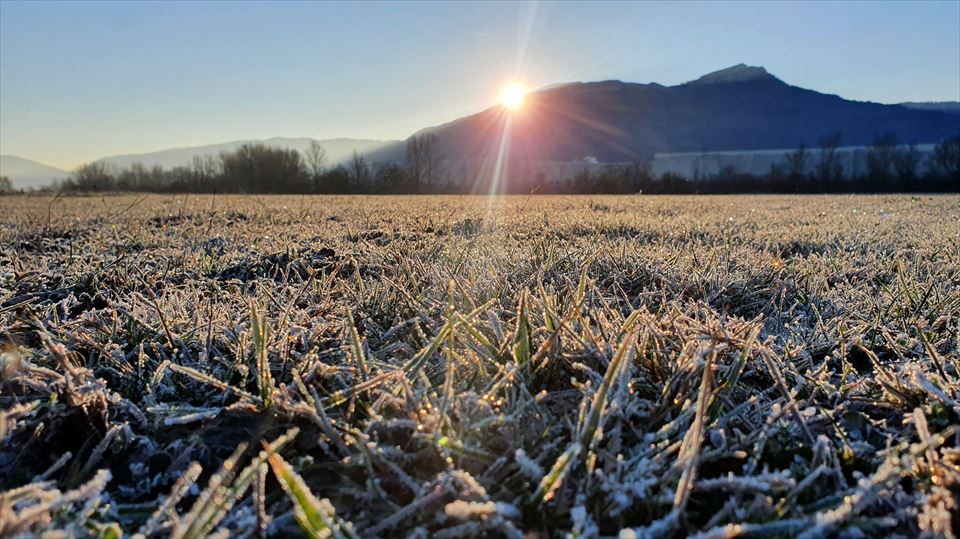 Araba. Iñaki Zenitagoia