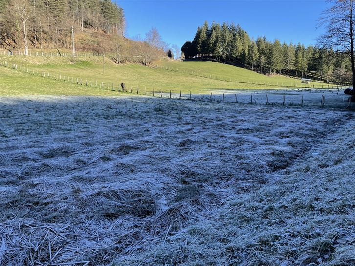 Leintz-Gatzaga. Iñaki Jauregi