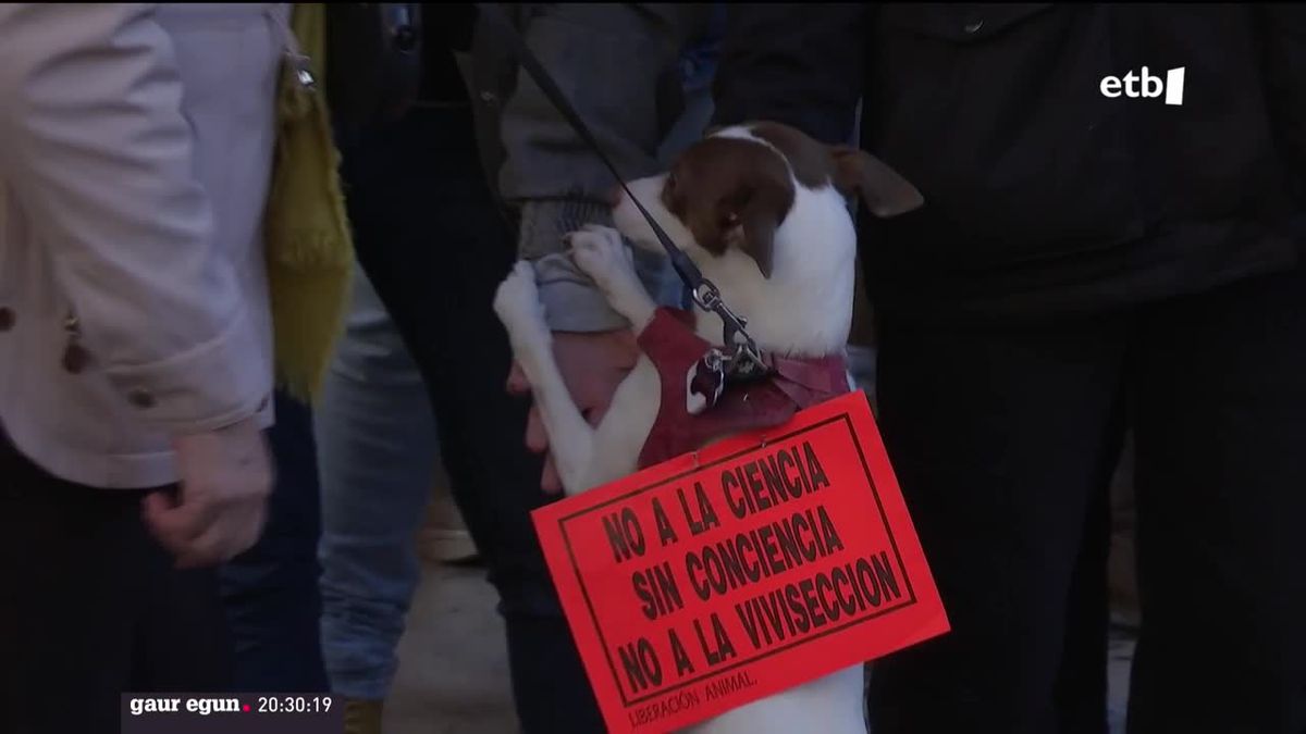 Concentración contra el sacrificio de 38 beagles. Imagen obtenida de un vídeo de EITB Media.