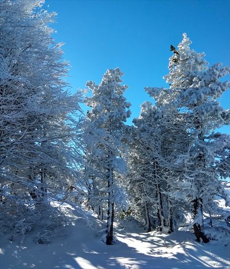 Belagua. Marisol Andres