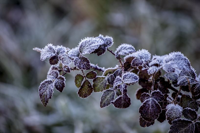 Baztan. Juan Lameirinhas