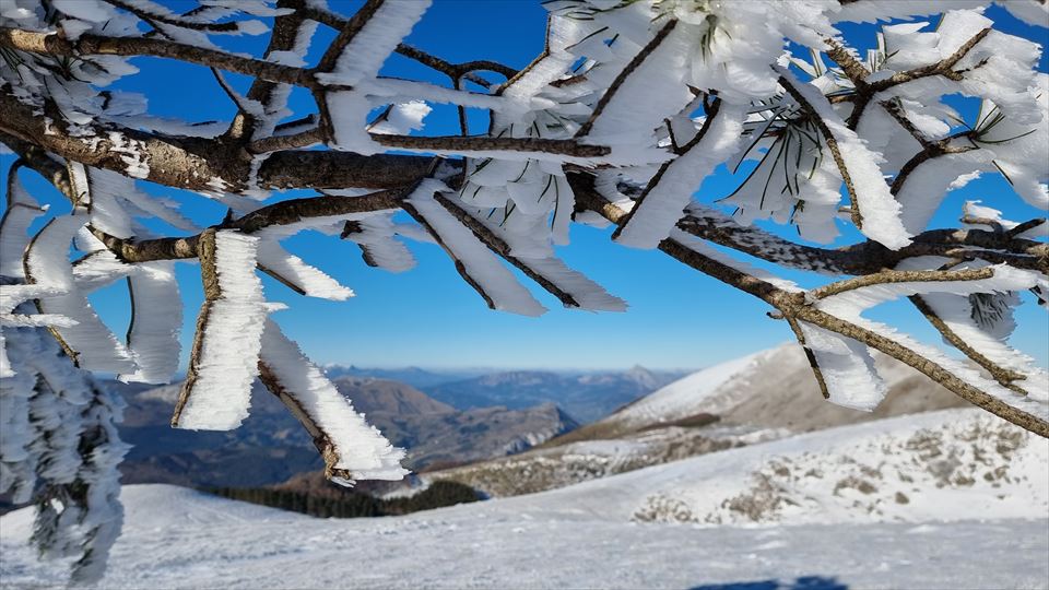 Oñati. Iñaki Zenitagoia