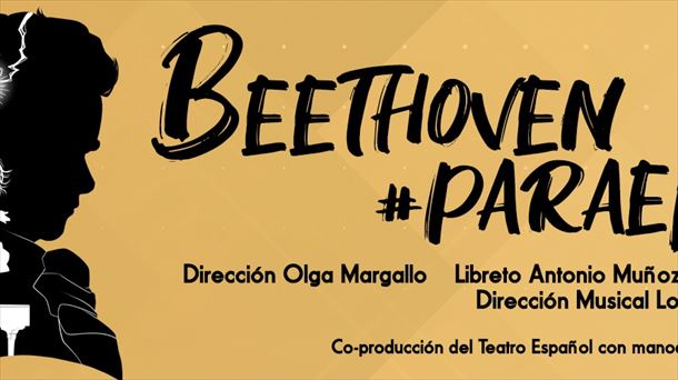 "Beethoven#ParaElisa" visita el teatro Principal