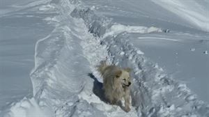 Txikonek aukera guztiak agortu nahi ditu
