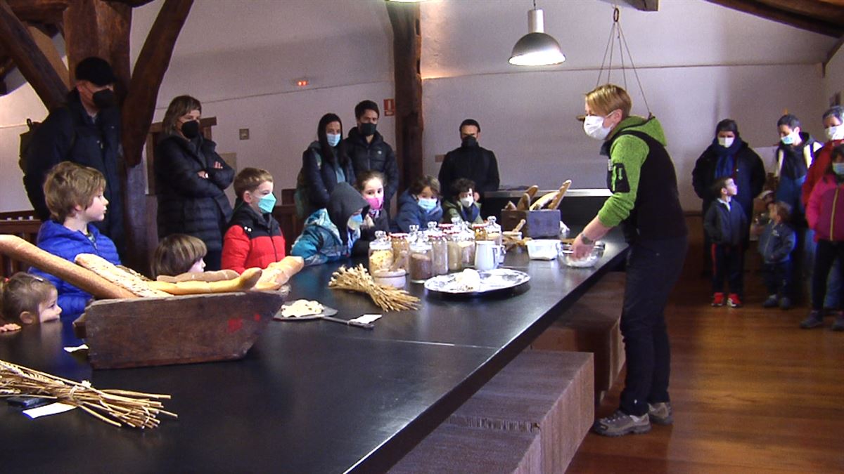 Taller de pan y paseo por la naturaleza en Pagoeta