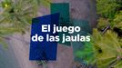 Calma y concentración, necesarias para el juego de las jaulas, esta noche, en ''El Conquistador del Caribe''