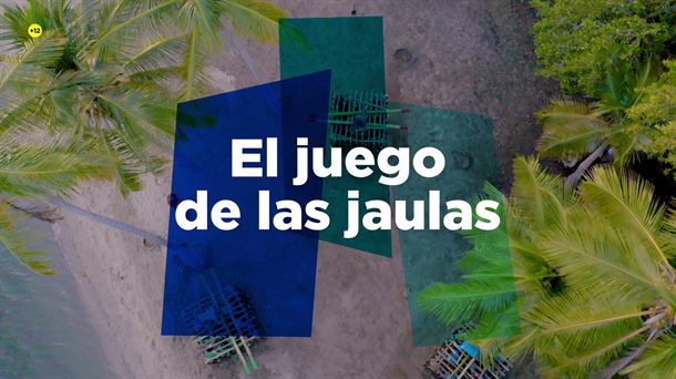 El juego de las jaulas, 'El Conquistador del Caribe'. 