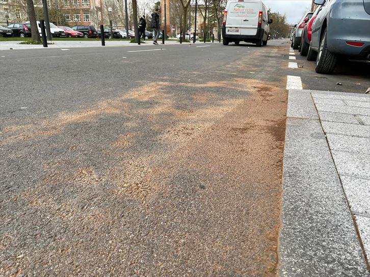 La arena del Sáhara llega a Vitoria-Gasteiz