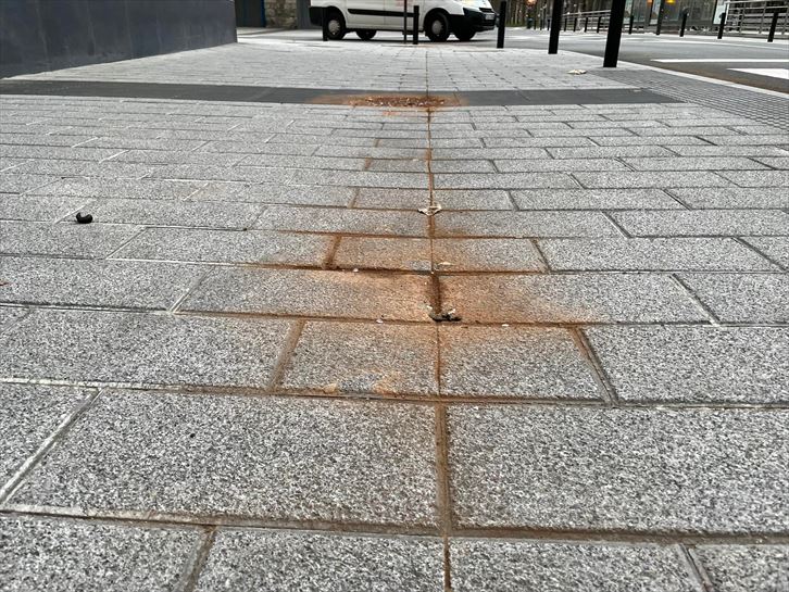 La arena del Sáhara llega a Vitoria-Gasteiz