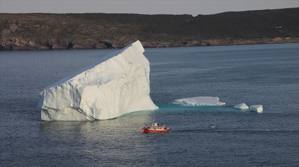 Iceberg bat