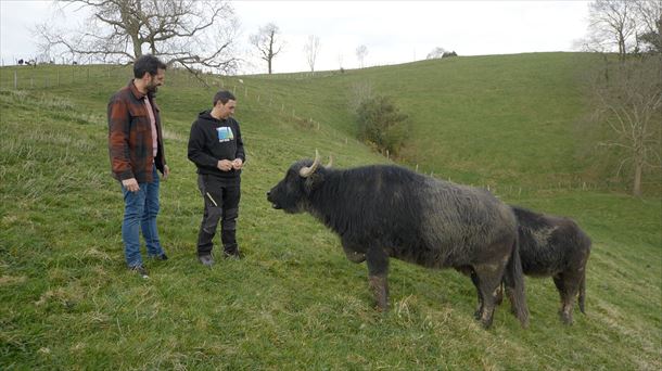 Visita de Joseba Arguiñano a Urdaneta