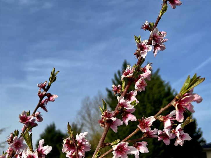 Aretxabaleta. Argazkia: Guillermo Agirre