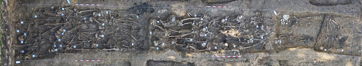 Algunos restos óseos hallados en el cementerio de Begoña
