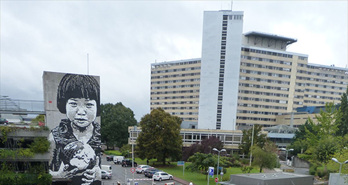 Hospital Pellegrin. Foto: Centre Hospitalier Universitaire Bordeaux.