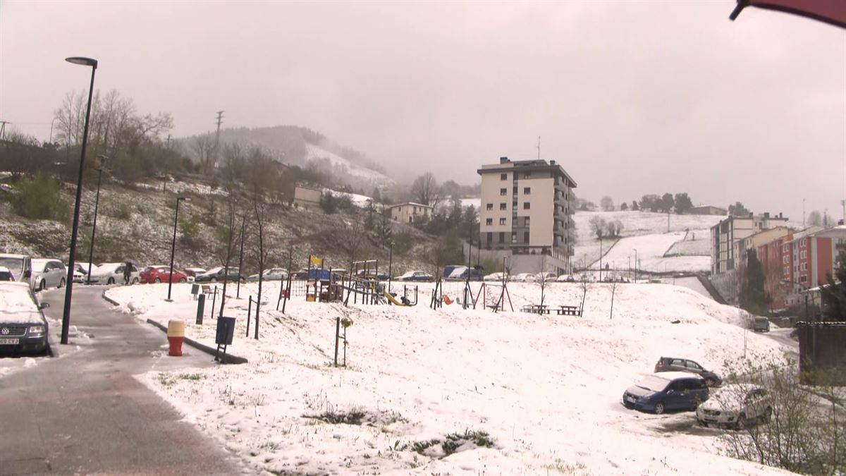 La nieve ha cubierto el interior de Gipuzkoa