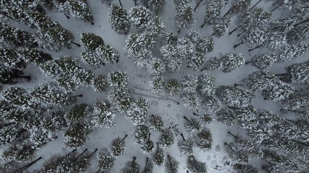 El humedal de Saldropo, en Otxandio (Bizkaia), nevado. 