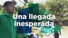 Una llegada inesperada, esta noche, en ''El Conquistador del Caribe''