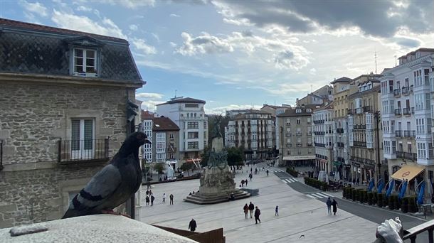 Paloma en Vitoria-Gasteiz