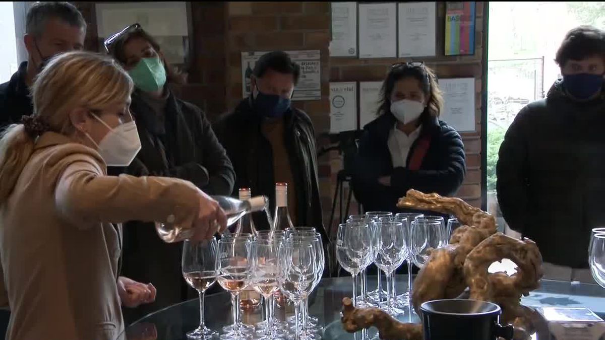 Turistas en la Rioja Alavesa. Imagen obtenida de un vídeo de EITB Media.