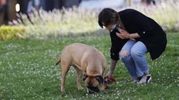 Vitoria solo multó en 2021 a cinco personas que no recogieron los excrementos de sus perros de la calle