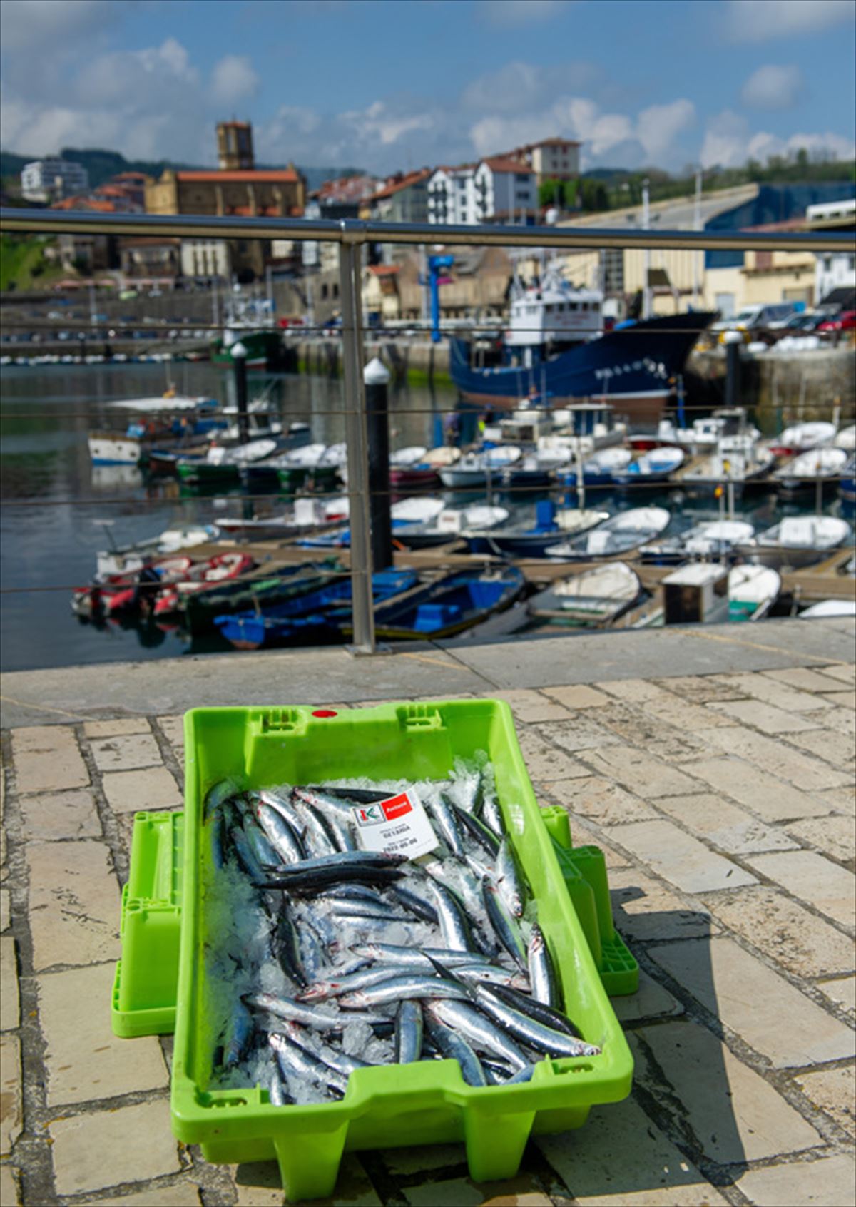 Cajas de anchoa, hoy, en Getaria