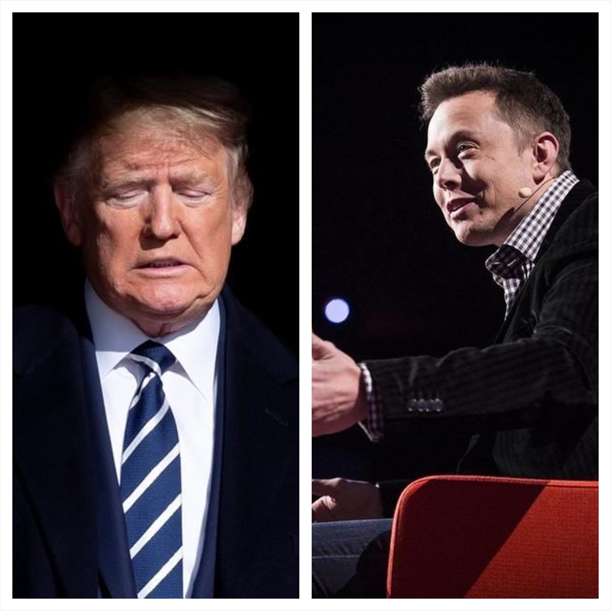 Collage de Donald Trump y Elon Musk