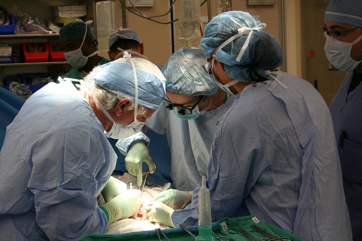 Operación de trasplante de órgano