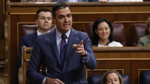 Pedro Sánchez: ''Ni la Guardia Civil ni la Policía Nacional disponen del programa Pegasus''