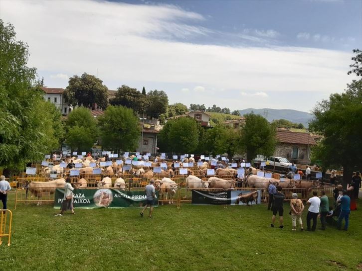 6.- XLIV. Feria ganadera de San Isidro en el concejo de Arespalditza (Ayala-Aiara)