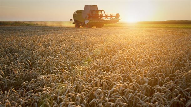 "La guerra en Ucrania está dejando sin maíz y trigo a muchos países en vías de desarrollo”