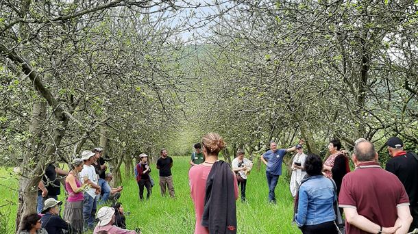 Visita a una manzanal con Sagartzea Elkartea de Ipar Euskal Herria. N. BELTRÁN DE HEREDIA