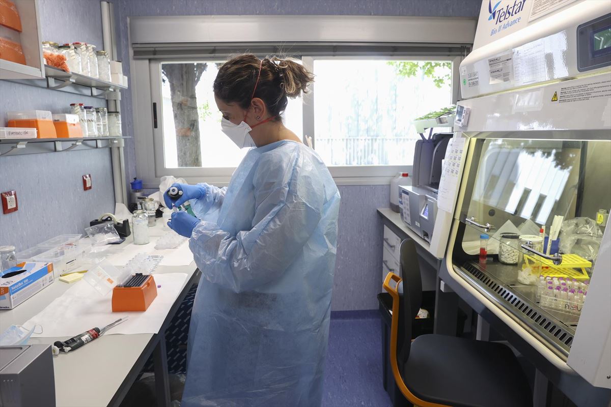 Un laboratorio de arbovirus y enfermedades víricas importantes. Foto: EFE